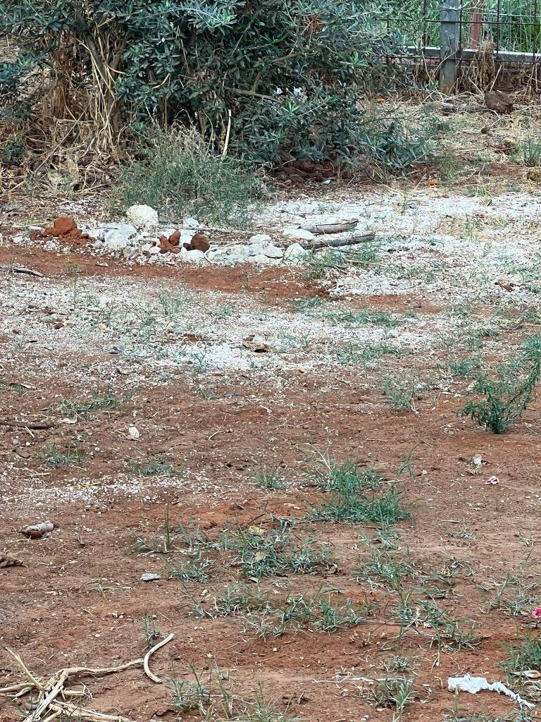 WhatsApp Image 2023-02-25 at 10.49.03 AM (1).jpeg